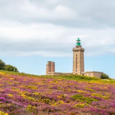 Le Fort la Latte et un champs de fleurs